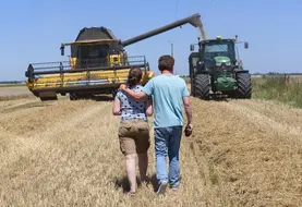 <em class="placeholder">Moisson dans l&#039;Indre près d&#039;Issoudun le 8 juillet 2022. Agriculteur et sa fille dans une parcelle de blé</em>