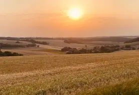 <em class="placeholder">Terres du nord de la Bourgogne où cultivent les producteurs de Terres du Pays d&#039;Othe.</em>