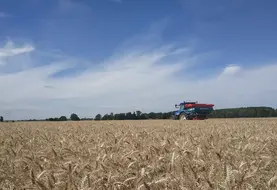<em class="placeholder">Semis de couvert d&#039;interculture dans la céréale avec un épandeur à engrais</em>