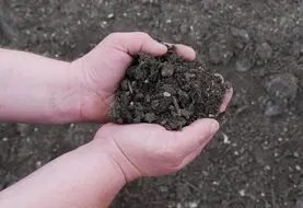 <em class="placeholder">En Bourgogne, les produits résiduaires organiques sont recherchés avant tout pour remonter le taux de matière organique des sols.</em>