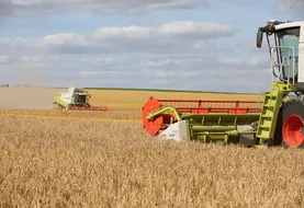<em class="placeholder">Moisson des céréales. Moissonneuses-batteuses Claas dans une parcelle d&#039;orge dans la plaine céréalière de la Marne. chantier de récolte des orges avec des rendements ...</em>