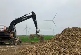 <em class="placeholder">Les semis précoces de betterave présageait d&#039;une belle récolte mais le manque de pluie se fait sentir sur certains territoires.</em>