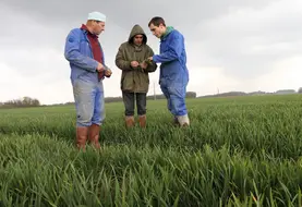 <em class="placeholder">Conseiller privé en traitement phytosanitaire, entouré d&#039;agriculteurs. </em>