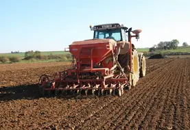 <em class="placeholder">Semis de blé derrière pommes de terre après un travail du sol superficiel.  Tracteur, semoir et outil. Technique simplifiée d&#039;implantation des cultures. Semis des ...</em>