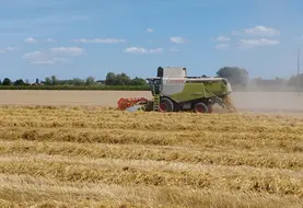 Moissonneuse batteuse en action dans une parcelle de blé tendre. Allier. 2024