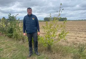 <em class="placeholder">Alexis Brisset, agriculteur à Beauvois, dans le Pas de Calais, devant la haie qu&#039;il a implanté en 2022 sur son exploitation de grandes cultures</em>