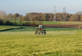 <em class="placeholder">Cultures / traitement phyto/dÃ©sherbant / application de Round-Up sur des chaumes de blÃ© contre les repousses de blÃ© / herbicide glyphosate.</em>