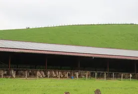 <em class="placeholder">Panneaux photovoltaïques sur la toiture d&#039;une étable</em>
