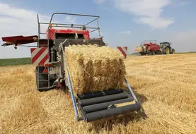 <em class="placeholder">Moisson des céréales.</em>