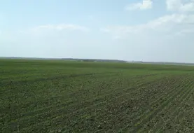 <em class="placeholder">Cultures dans les plaines d&#039;Ukraine.</em>