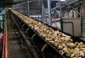 <em class="placeholder">Traitement de betteraves bio dans l&#039;usine Cristal Union de Corbeilles en 2020. Le traitement des betteraves biologiques, plus sales, impose une adaptation du process ...</em>