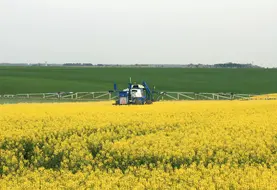 <em class="placeholder">Colza en pleine floraison. Traitement fongicide. </em>