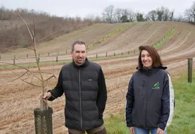 <em class="placeholder">Benoît Legein, agriculteur à Lafrançaise (82) et Céline Guillemain, chambre d'agriculture du Tarn-et-Garonne,«Les alignements d'arbres et les bandes enherbées ...</em>
