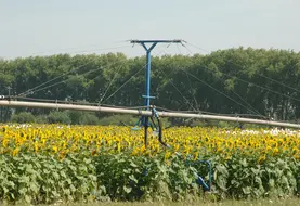 <em class="placeholder">Rampe d'irrigation dans une parcelle de tournesol dans le Lot-et-Garonne. </em>