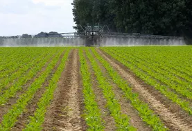 <em class="placeholder">Cultures / traitement dÃ©herbant sur champ de betteraves / pulvÃ©risateur et rampe / application d'un produit phytosanitaire / buses / utilisation de pesticides / ...</em>