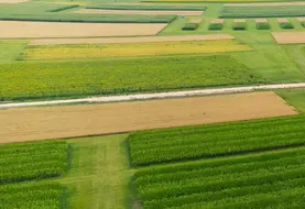 <em class="placeholder">site de recherche variétale du semencier Limagrain</em>