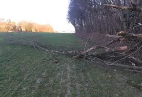 <em class="placeholder">Branches d'arbre d'une parcelle forestière tombées dans une parcelle agricole</em>