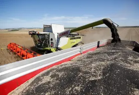 <em class="placeholder">Moisson du Colza dans les plaines cerealieres de la Marne. Agriculteur moissonnant sa parcelle de Colza avec une moissonneuse bateuse Claas 740 Lexion.</em>