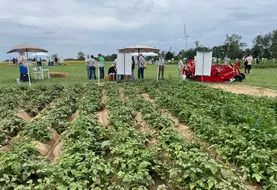 <em class="placeholder">Essai de désherbage en pomme de terre sur la plateforme Arvalis de Villers Saint Christophe dans l'Aisne, 30 juin 2026</em>
