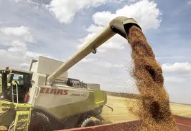 <em class="placeholder">Prestataire de service avec une moissonneuse batteuse de marque CLAAS vidant sa trémie dans la remorque d'un tracteur durant la moisson des blés. Récolte des céréales. ...</em>