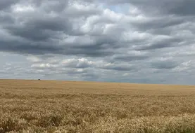 <em class="placeholder">Champ de blé dans l'Allier.</em>