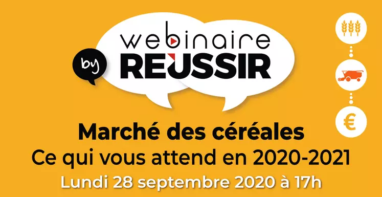 Rejoignez-nous pour le webinaire Réussir Agra coordonné par la rédaction de Réussir Grandes Cultures afin de découvrir ce que vous réservent les marchés des grains en 2020-2021.