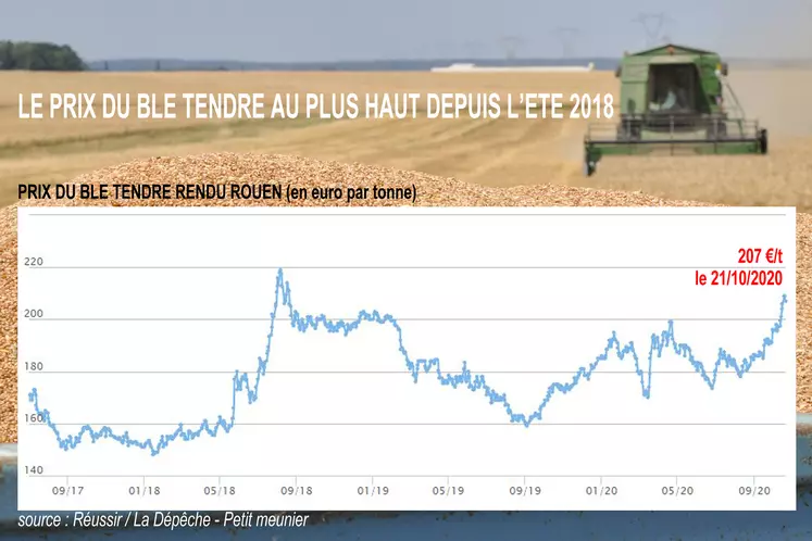 évolution du prix du blé rendu Rouen enre 2017 et 2019