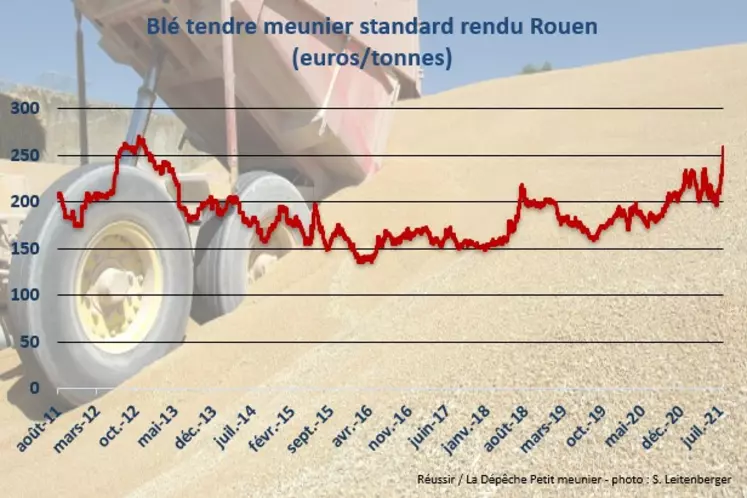 le prix du blé rendu Rouen au plus haut depuis 2012