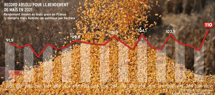 Avec 11 tonnes à l'hectare, le rendement de maïs 2021 établira un nouveau record grâce notamment aux très bons résultats du maïs en sec.