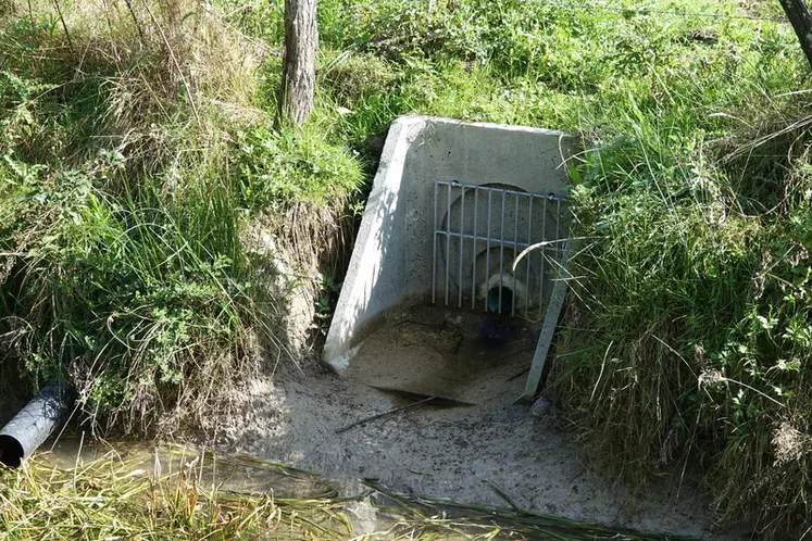 Certaines eaux de drainage arrivent dans des mares faisant office de zone tampon.