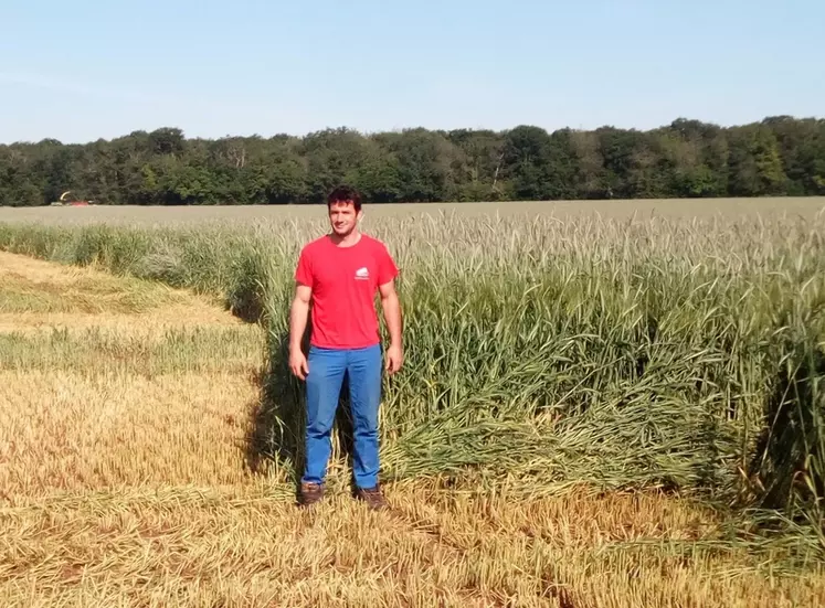 Baptiste Lamelot, agriculteur à Vornay (Cher)"Mes 50 hectares de méteil (orge, triticale, seigle) sont fertilisés uniquement avec des digestats au semis à l’automne."