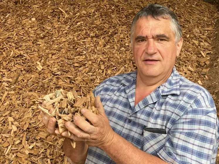 Vincent Cazalis, agriculteur à Cazères-sur-Adour (Landes)"La qualité des plaquettes de bois doit être irréprochable pour le bon fonctionnement de la chaudière."