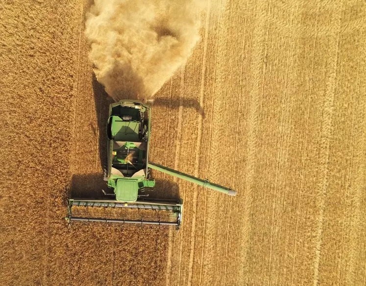 Le volume de la récolte de blé tendre est évalué à quelques 36 millions de tonnes, en hausse de 23% par rapport à 2020.