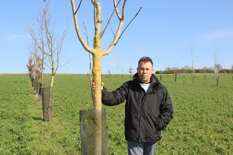 Stéphane Gatti, agriculteur à Laplume, Lot-et-Garonne."Les plantations d'arbres rendent les parcelles moins sensibles à l'impact de la sécheresse." © C. Gloria