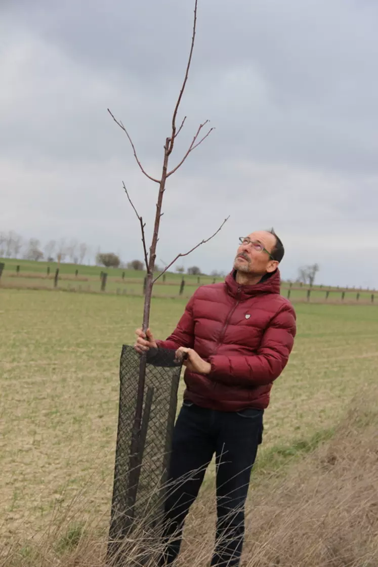 Stéphane Brodeur, agriculteur à Houdilcourt dans les Ardennes."Je prévois de couper un arbre sur deux dans vingt ans pour la production de bois d'oeuvre." © C. Gloria