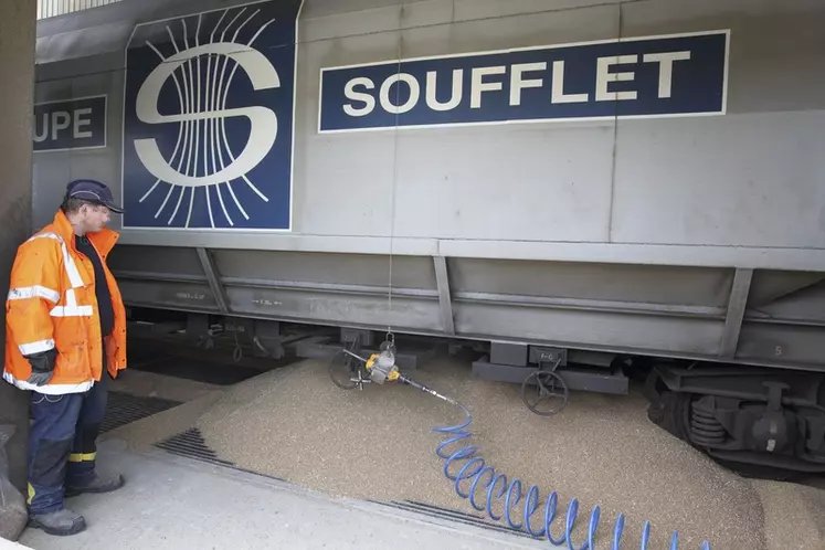 Le groupe Soufflet collecte 5,6 millions de tonnes de grains par an. © gutner  archive