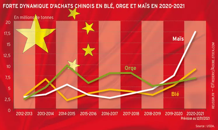  la reconstitution du cheptel porcin, mis à mal par la fièvre porcine en 2018-2020, est l’une des principales explications à l'emballement des importations de la Chine. © Infographie Réussir