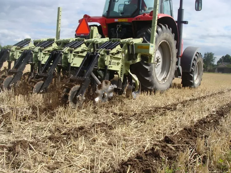 Combiné à d'autres leviers, les techniques de travail du sol simplifié permettent aux producteurs de colza et de tournesol de bénéficier d'un bonus substantiel. © Orthman