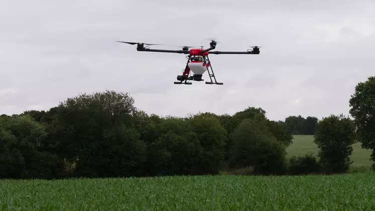 Certains drones affichent des capacités de charge de plus de 10 kg : de quoi épandre des trichogrammes contre la pyrale du maïs ou semer des couverts avant récolte. © Chambre d'agriculture Pays de ...