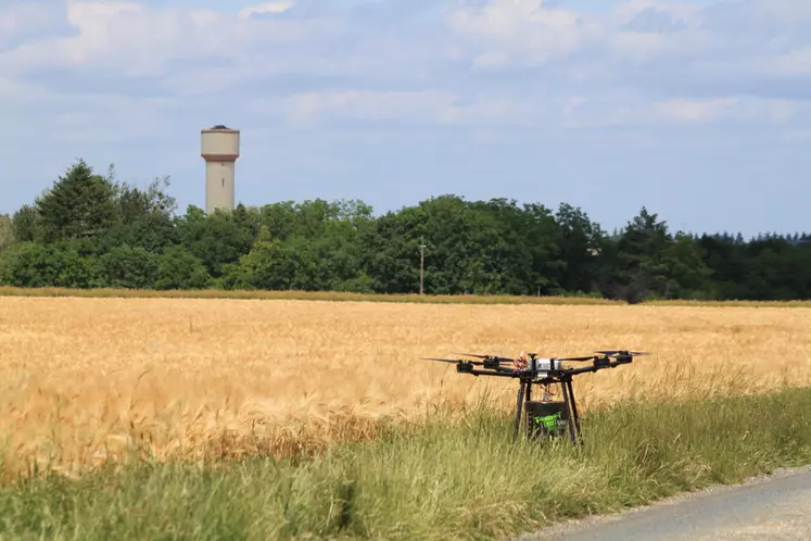La prestation de semis par drone avant récolte représente un coût de l’ordre de 60 euros/ha, contre 7 euros/ha pour un semis classique. © F. Gond