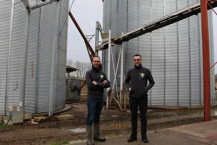 Mathieu Pilard, à gauche, avec son salarié, Mathias Hermouet. Le producteur a investi 165 000 euros pour le séchage et le stockage, un gage pour lui d'indépendance et de valorisation des grains. © V. Bargain