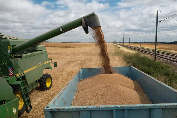 Blé, maïs, colza... la hausse du prix des grains est une bonne nouvelle pour les producteurs de grandes cultures, mais la violence des à-coups génère de grosses difficultés. © G. Omnès