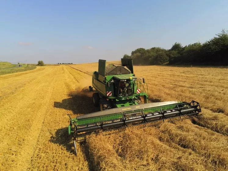 Retardée par les pluies, la récolte française de blé tendre est prévue autour de 36,7 millions de tonnes, avec une qualité globalement préservée à l'exception de PS bas.