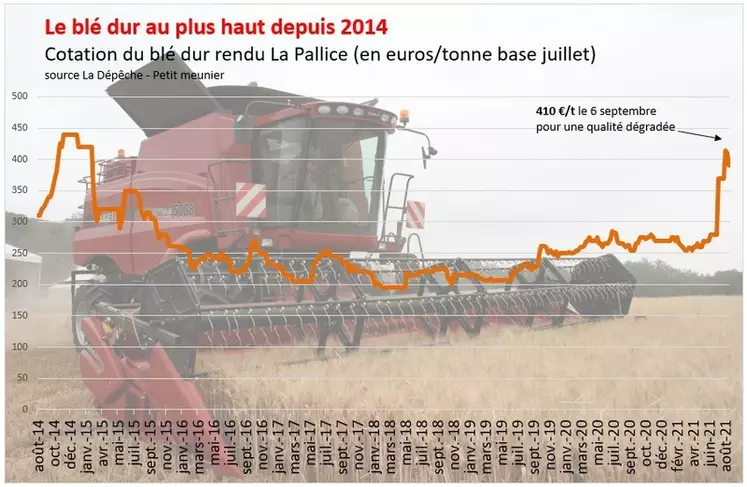 Le prix du blé dur français a répliqué la forte hausse enregistrée en Amérique du Nord au cours de l'été pour dépasser 400 €/t.