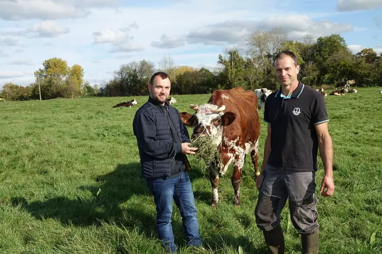 Vincent Barbot,et Jean-Luc Gaugain, agriculteurs dans le Calvados."La luzerne est produite localement en visant une teneur élevée en protéine pour valoriser les performances d'un troupeau."