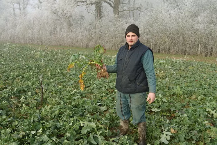Romain Maillault, agriculteur à Montigny-sur-Canne (Nièvre)."Avec le prix des engrais aujourd’hui et grâce à l'apport d'azote par les couverts, je suis prêt à réduire de 60 unités les apports sur blé."