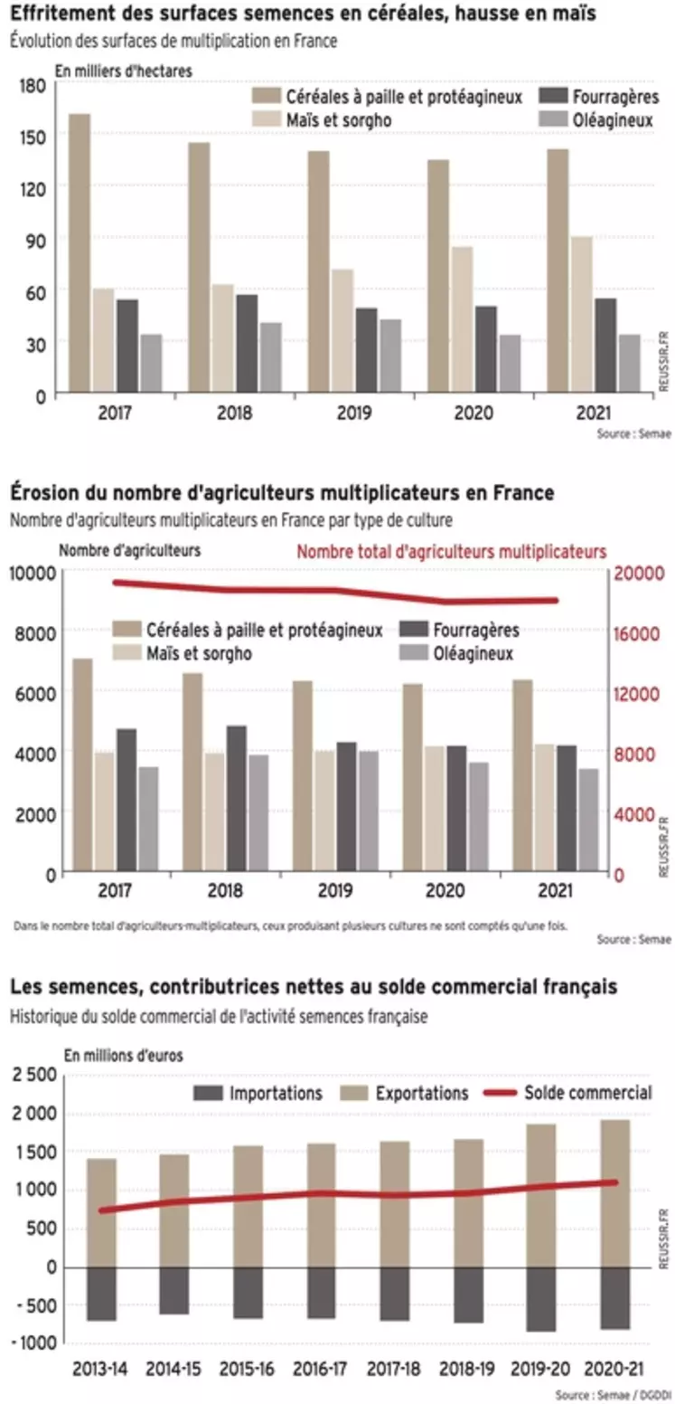 Filière semences : un fleuron économique français face à ses défis