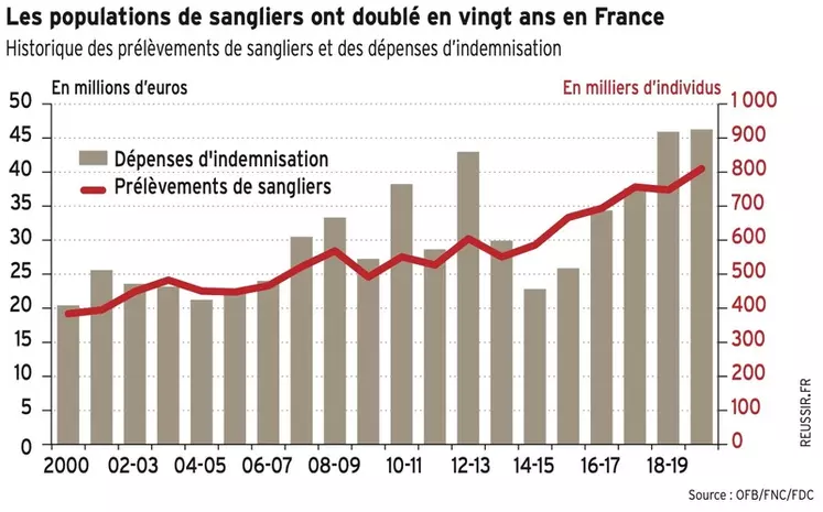 Dégâts de gibier : le système d’indemnisation menacé d’explosion