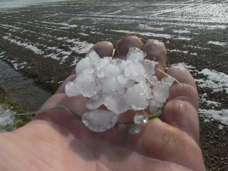 La grêle est le dernier fléau en date subi par les agriculteurs cette année, après une séquence de sec qui coûtera des quintaux dans les sols superficiels.