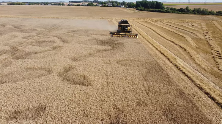 Cette année, les rendements de blé sont très variables au sein d'une région, et même à l'échelle d'une exploitation.